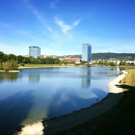 Ginko I Nocleg ze śniadaniem